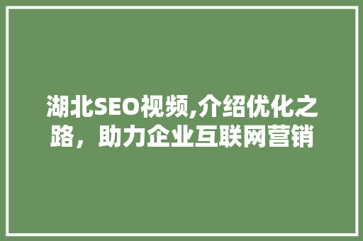 湖北SEO视频,介绍优化之路，助力企业互联网营销