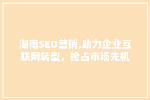 湖南SEO营销,助力企业互联网转型，抢占市场先机