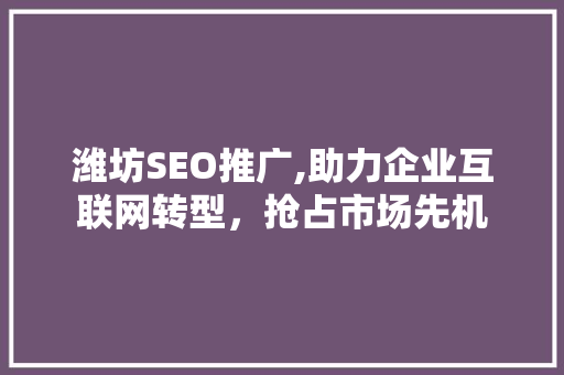 潍坊SEO推广,助力企业互联网转型，抢占市场先机  第1张