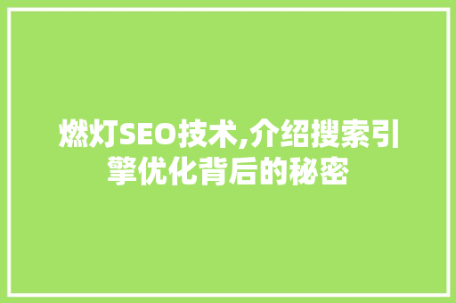 燃灯SEO技术,介绍搜索引擎优化背后的秘密