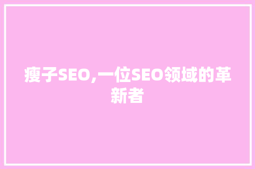 瘦子SEO,一位SEO领域的革新者
