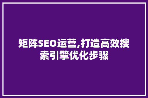 矩阵SEO运营,打造高效搜索引擎优化步骤