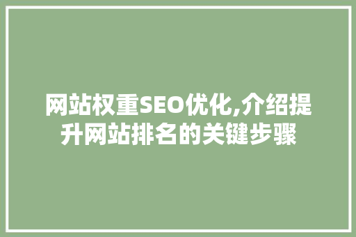 网站权重SEO优化,介绍提升网站排名的关键步骤  第1张