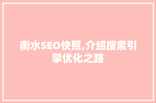 衡水SEO快照,介绍搜索引擎优化之路