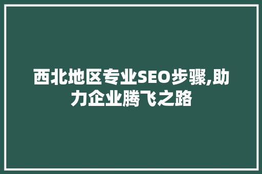 西北地区专业SEO步骤,助力企业腾飞之路