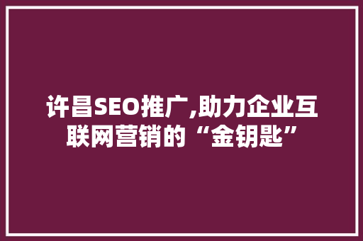 许昌SEO推广,助力企业互联网营销的“金钥匙”