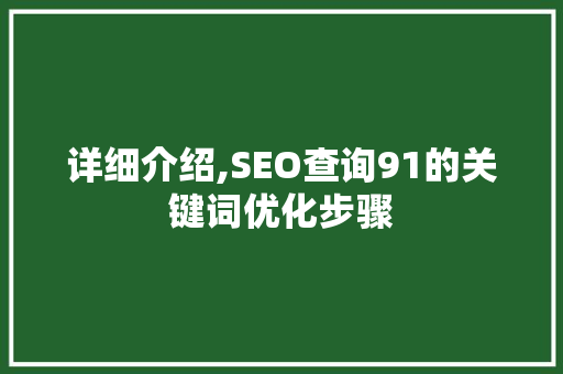 详细介绍,SEO查询91的关键词优化步骤