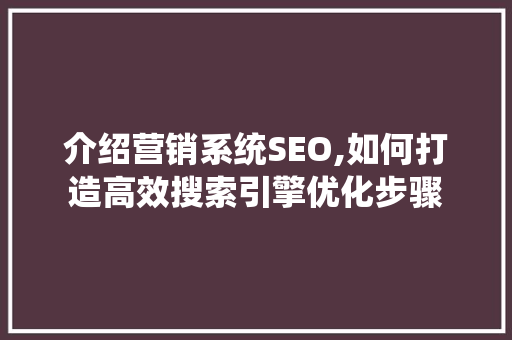 介绍营销系统SEO,如何打造高效搜索引擎优化步骤
