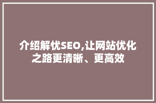 介绍解忧SEO,让网站优化之路更清晰、更高效