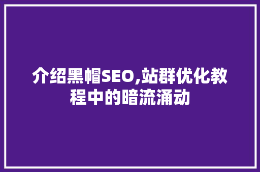 介绍黑帽SEO,站群优化教程中的暗流涌动