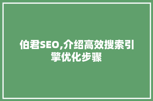 伯君SEO,介绍高效搜索引擎优化步骤