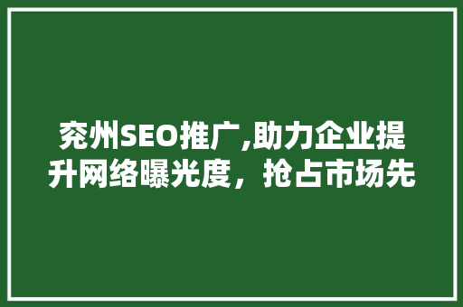 兖州SEO推广,助力企业提升网络曝光度，抢占市场先机  第1张