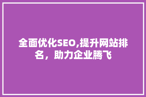 全面优化SEO,提升网站排名，助力企业腾飞