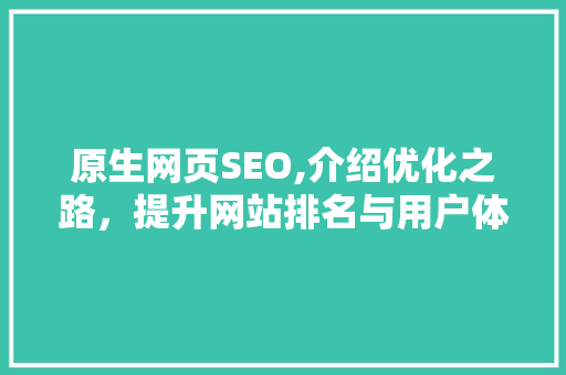原生网页SEO,介绍优化之路，提升网站排名与用户体验