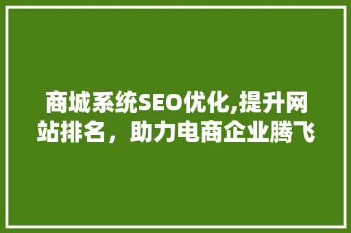 商城系统SEO优化,提升网站排名，助力电商企业腾飞