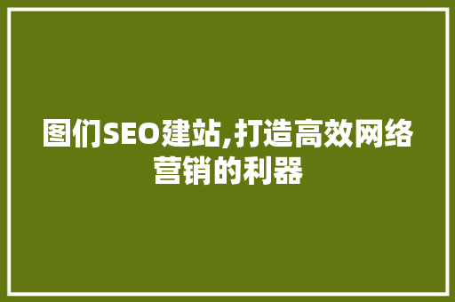 图们SEO建站,打造高效网络营销的利器