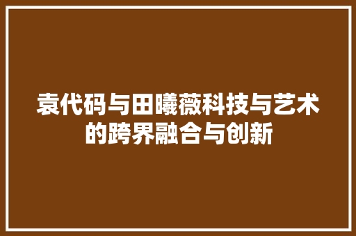 袁代码与田曦薇科技与艺术的跨界融合与创新