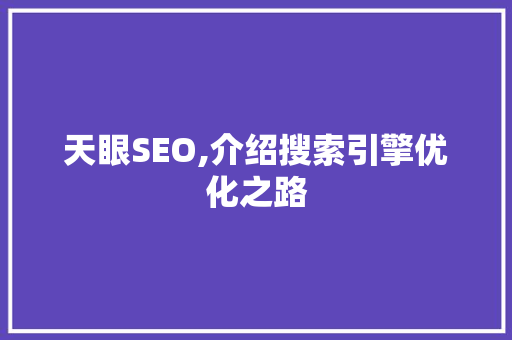 天眼SEO,介绍搜索引擎优化之路