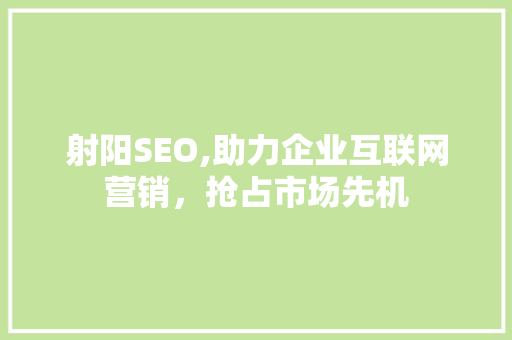 射阳SEO,助力企业互联网营销，抢占市场先机