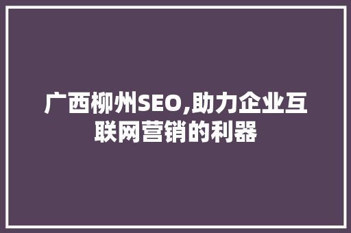 广西柳州SEO,助力企业互联网营销的利器