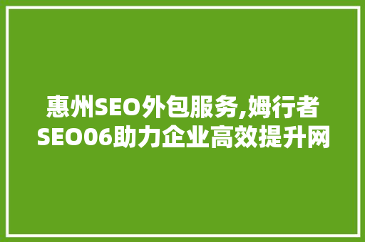 惠州SEO外包服务,姆行者SEO06助力企业高效提升网站排名