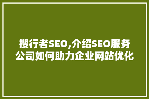 搜行者SEO,介绍SEO服务公司如何助力企业网站优化