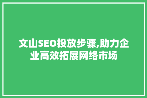 文山SEO投放步骤,助力企业高效拓展网络市场