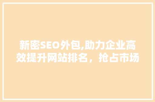 新密SEO外包,助力企业高效提升网站排名，抢占市场先机