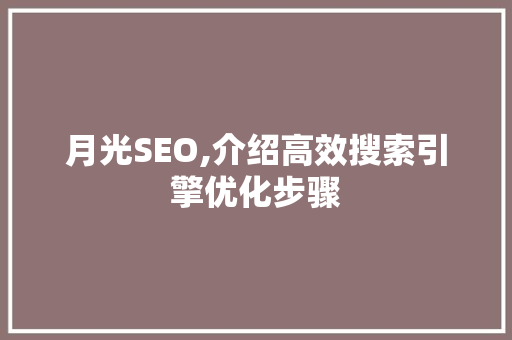 月光SEO,介绍高效搜索引擎优化步骤
