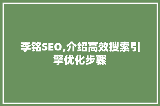 李铭SEO,介绍高效搜索引擎优化步骤