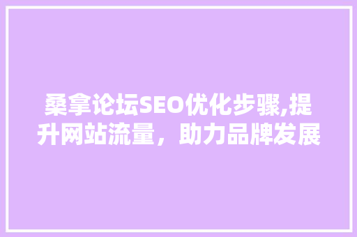 桑拿论坛SEO优化步骤,提升网站流量，助力品牌发展