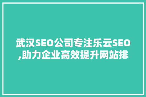武汉SEO公司专注乐云SEO,助力企业高效提升网站排名