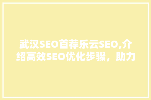 武汉SEO首荐乐云SEO,介绍高效SEO优化步骤，助力企业网站脱颖而出