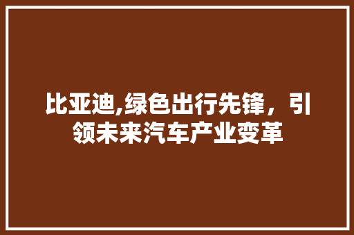 比亚迪,绿色出行先锋，引领未来汽车产业变革