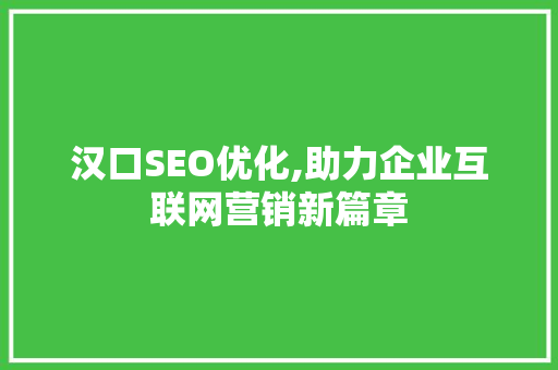 汉口SEO优化,助力企业互联网营销新篇章