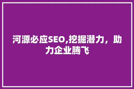 河源必应SEO,挖掘潜力，助力企业腾飞