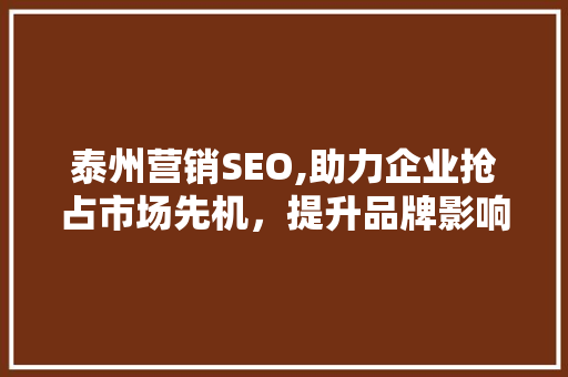 泰州营销SEO,助力企业抢占市场先机，提升品牌影响力