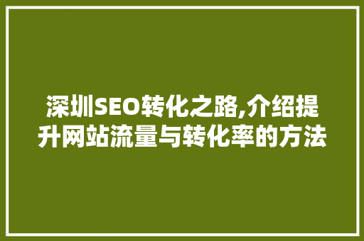 深圳SEO转化之路,介绍提升网站流量与转化率的方法