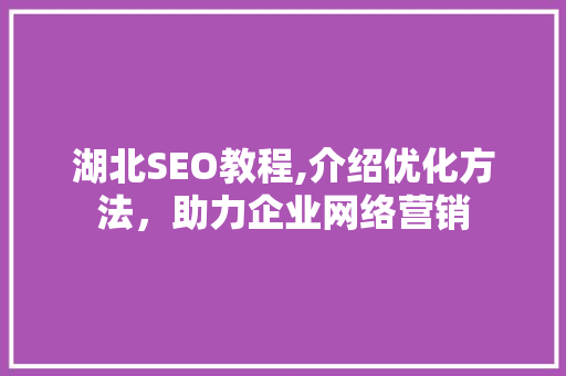 湖北SEO教程,介绍优化方法，助力企业网络营销