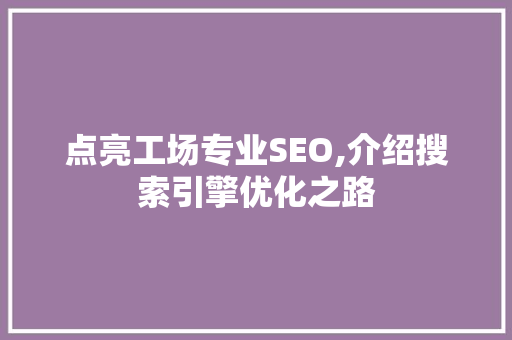 点亮工场专业SEO,介绍搜索引擎优化之路