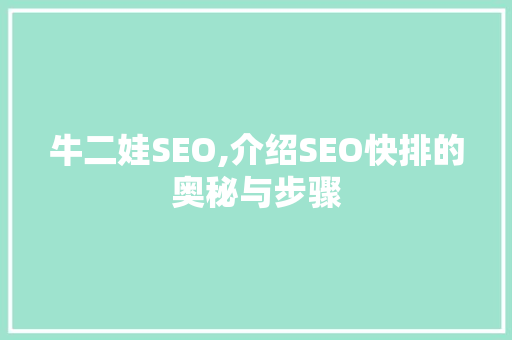 牛二娃SEO,介绍SEO快排的奥秘与步骤