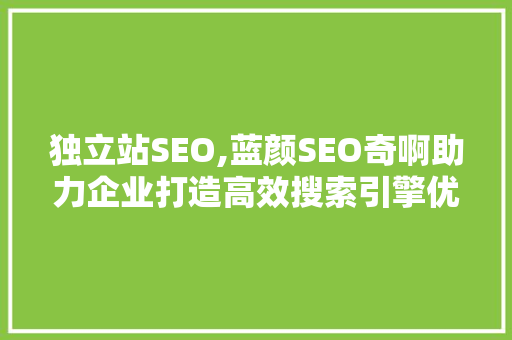 独立站SEO,蓝颜SEO奇啊助力企业打造高效搜索引擎优化步骤