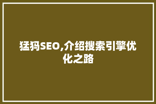 猛犸SEO,介绍搜索引擎优化之路