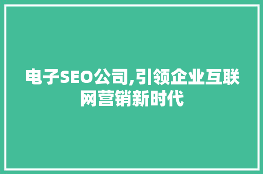 电子SEO公司,引领企业互联网营销新时代