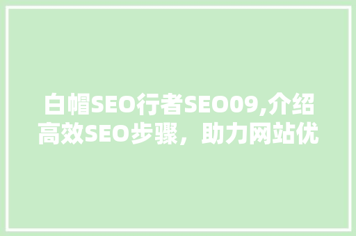 白帽SEO行者SEO09,介绍高效SEO步骤，助力网站优化之路