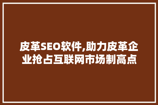 皮革SEO软件,助力皮革企业抢占互联网市场制高点