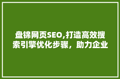 盘锦网页SEO,打造高效搜索引擎优化步骤，助力企业互联网发展
