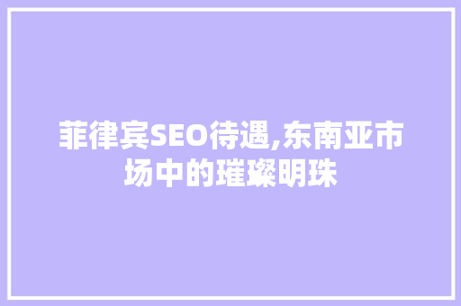 菲律宾SEO待遇,东南亚市场中的璀璨明珠