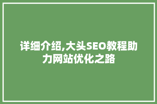 详细介绍,大头SEO教程助力网站优化之路