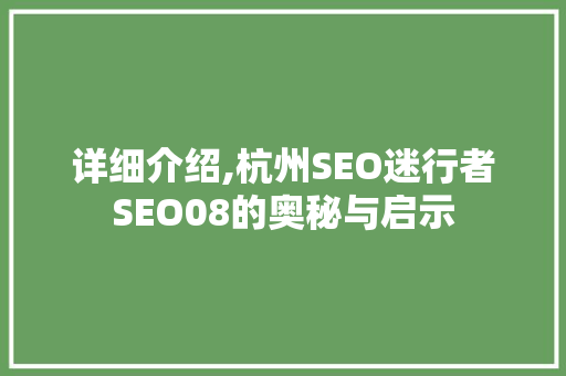 详细介绍,杭州SEO迷行者SEO08的奥秘与启示